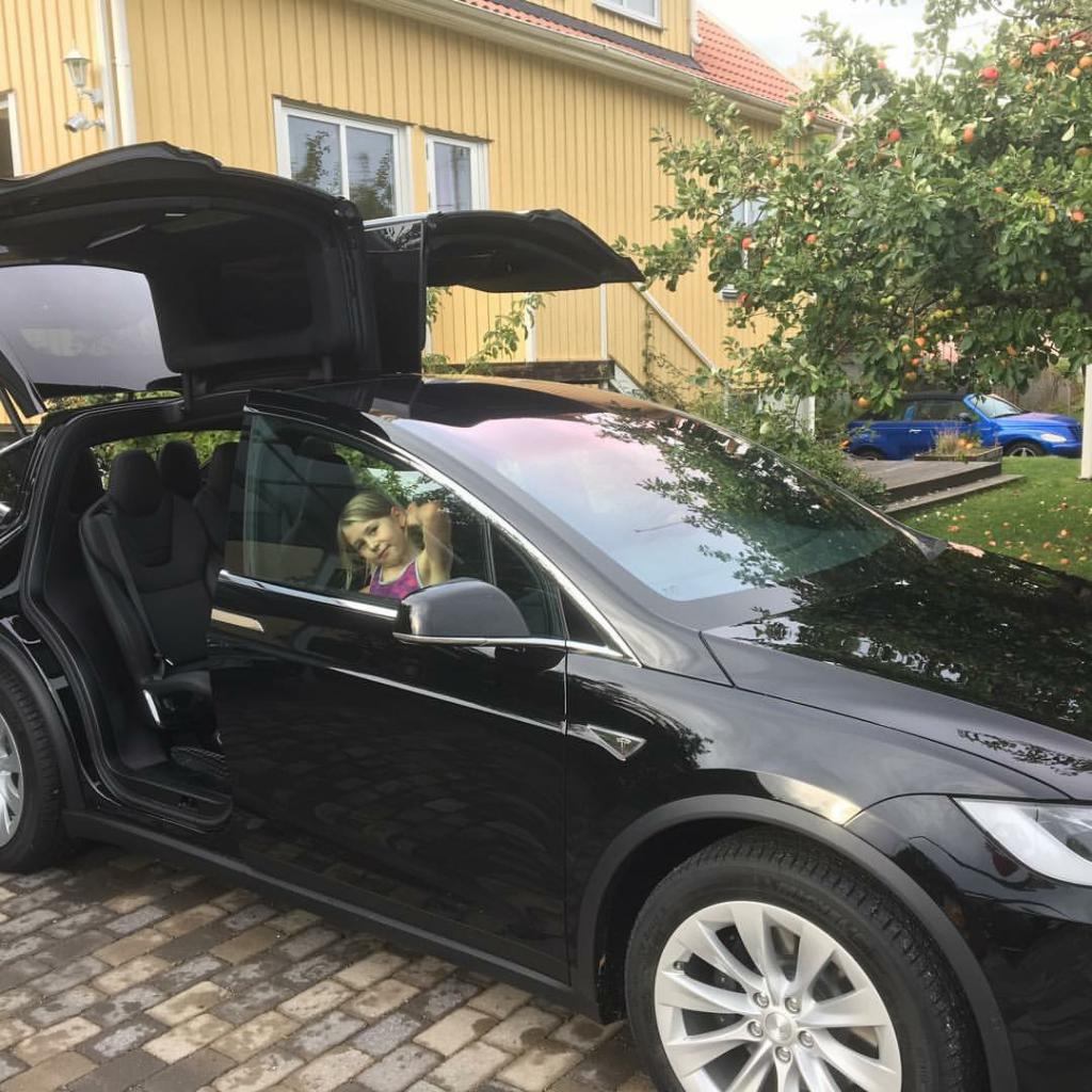 Tesla Model X 90D.JPG