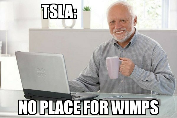 TSLA no place for wimps.jpg
