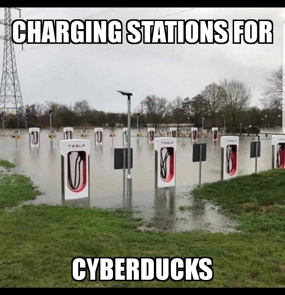 ZomboMeme cyberducks.jpg