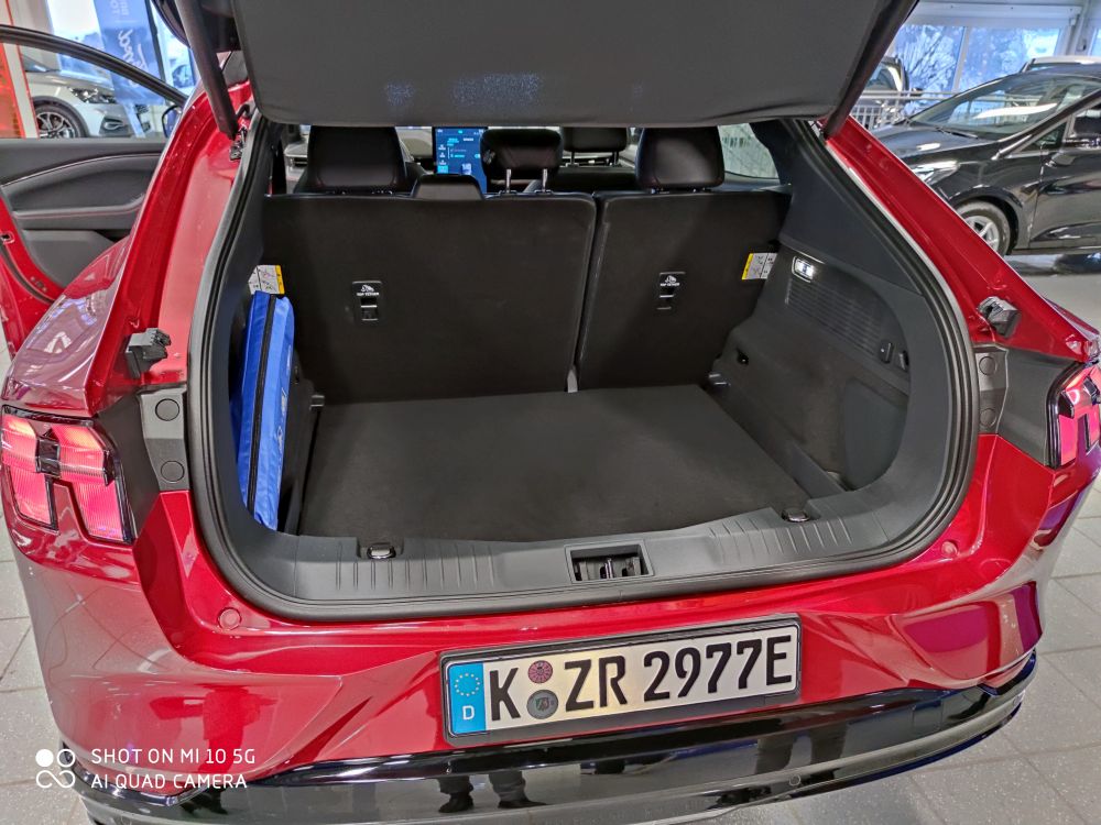 Trunk.jpg