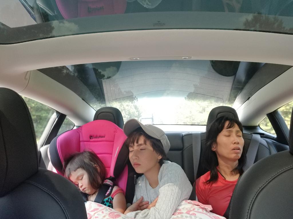 20180728_154234.jpg