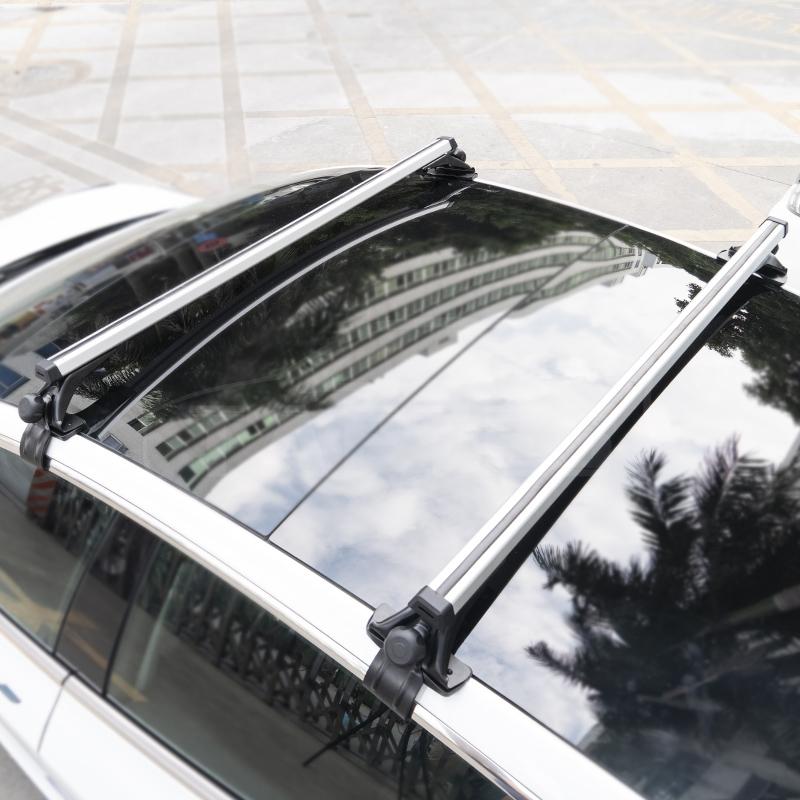 Roof_Rack_for_Tesla_Model_3_5.jpg