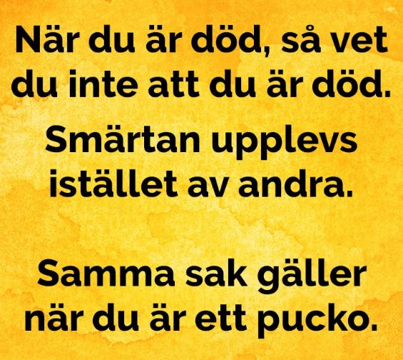 pucko.JPG