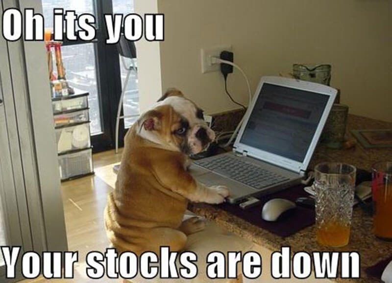 stock-market-humor-jokes-memes-8.jpg