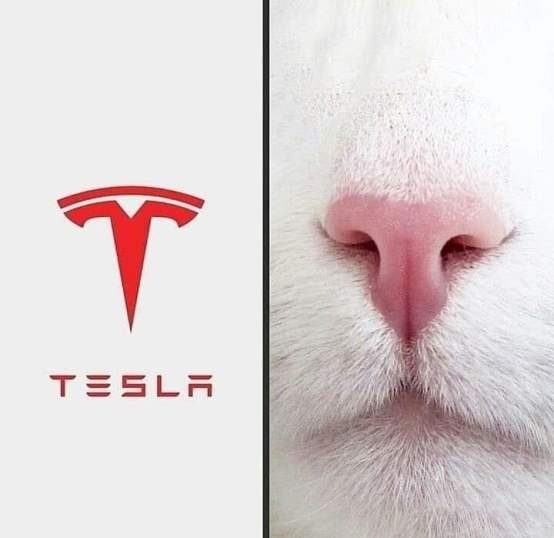 Teslanose.jpg