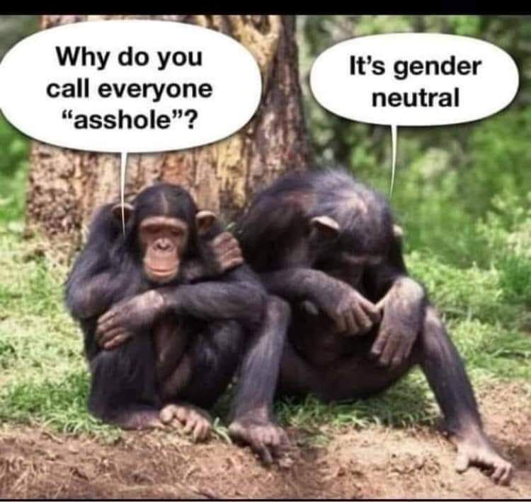 Gender neutral.jpg