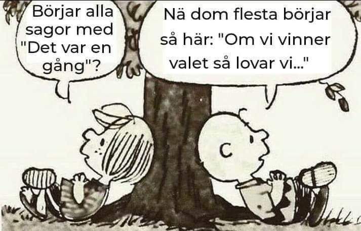 Vinna valet.jpg