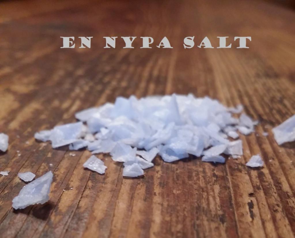 cropped-cropped-en-nypa-salt-stor-text-vit.jpg