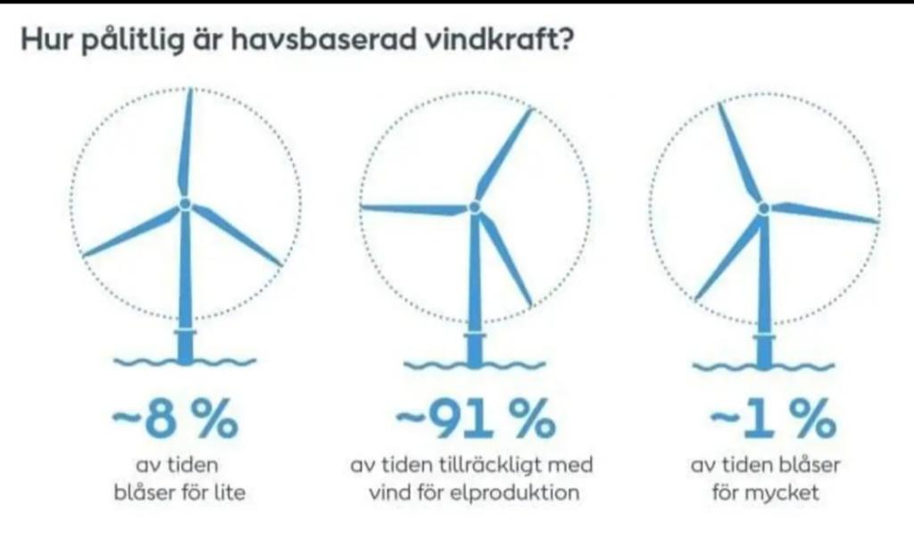 91 vind.jpg