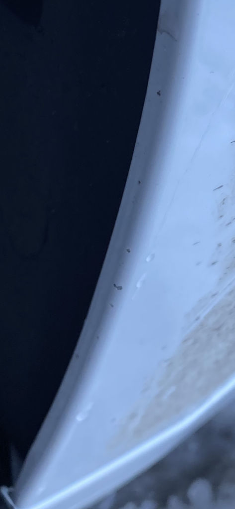 A81C6523-83F7-4539-B8AA-C8E2B0D2D424.png