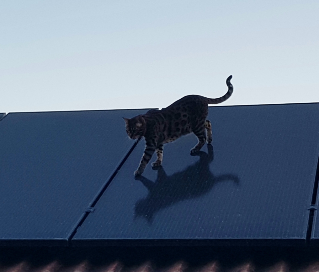 20230611_215606.jpg