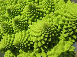 romanesco.jpg