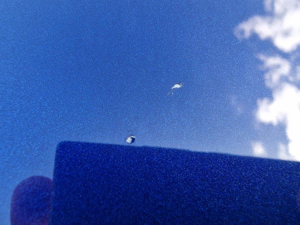 20240831_135150.jpg