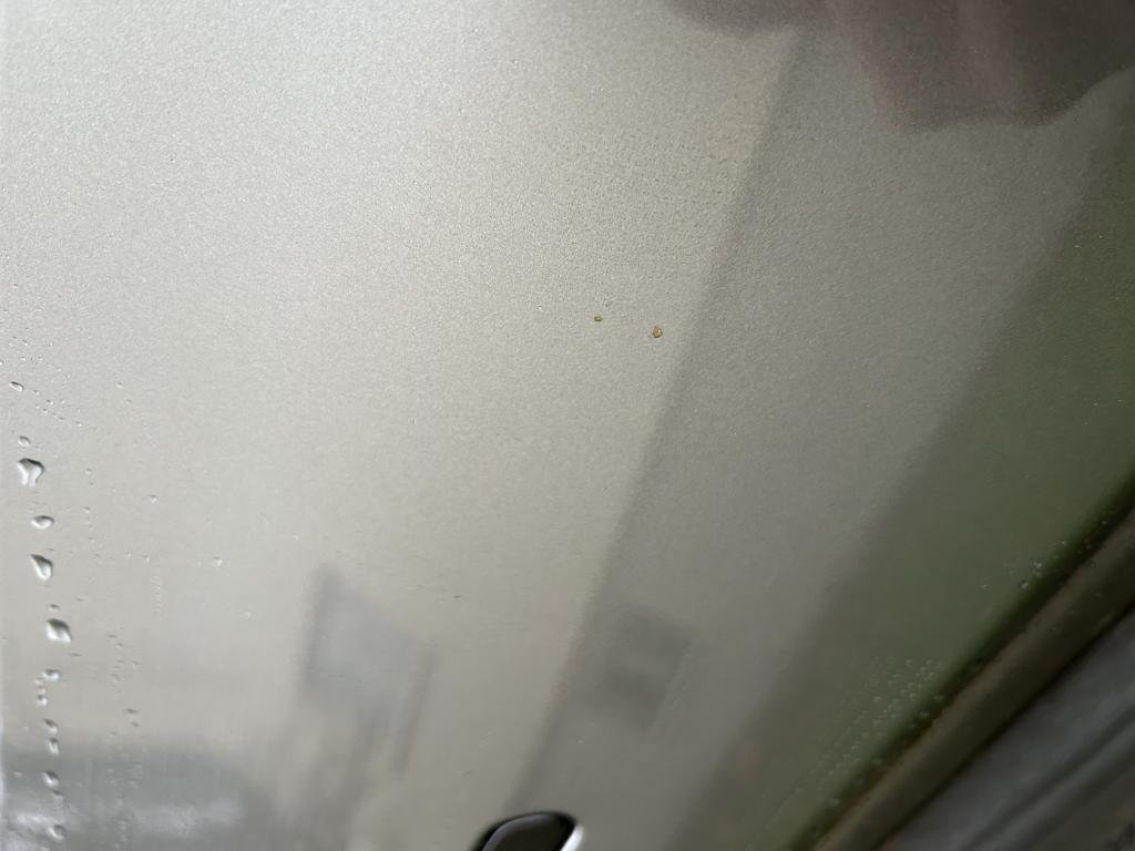 IMG_7310.jpeg