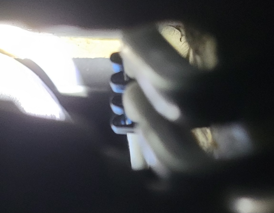 20241029_155704.jpg