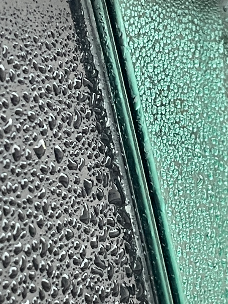 IMG_1145.png