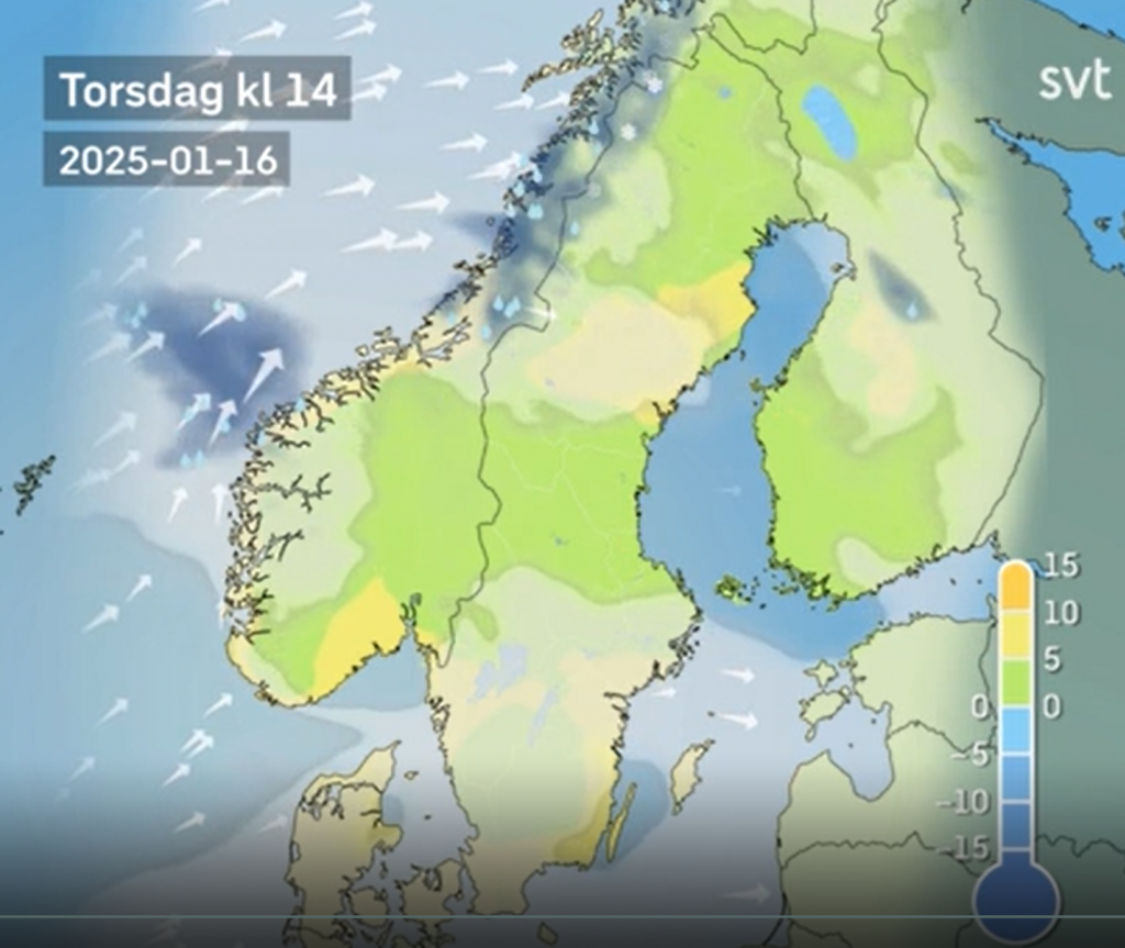 Skärmbild 2025-01-16 102619.png