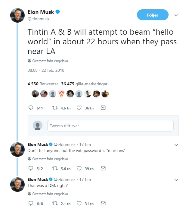 Elon Tintin.jpg
