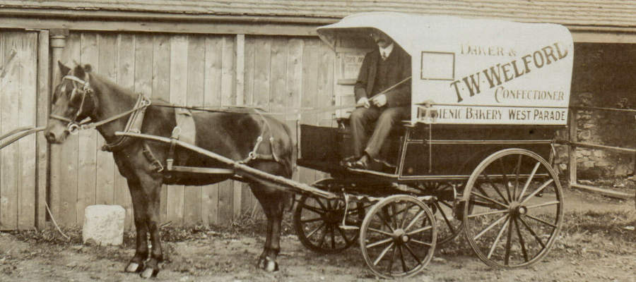 oneHorseWagon