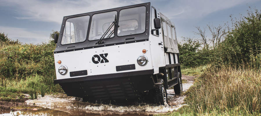 OX