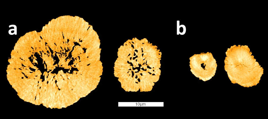 CathodeParticles